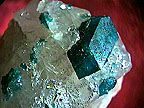 A photo of the mineral dioptase