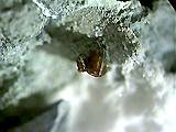 A photo of the mineral joaquinite