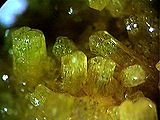A photo of the mineral pyromorphite