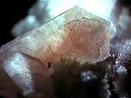A photo of the mineral stilbite